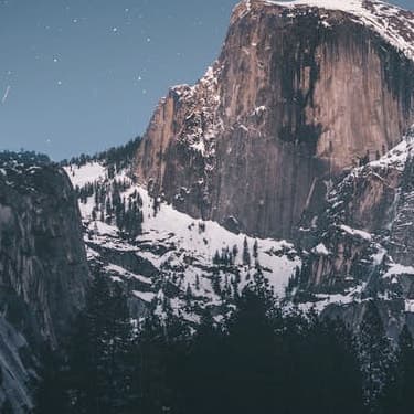 Dark forest with mountains and moonlight